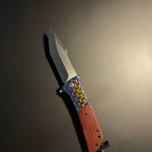 Multi-Coloured Handle BUCK Knife